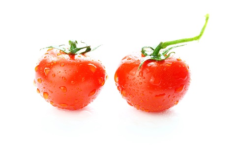 ��ҹ������ ����ʳ�� ���ε�ʳ��