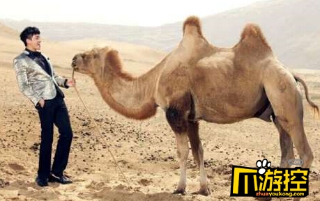 ���󶫻�ɴ���ع�   ���ھ���һ�ž��л���